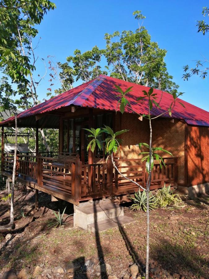 Villa Nagtabon Puerto Princesa Buitenkant foto