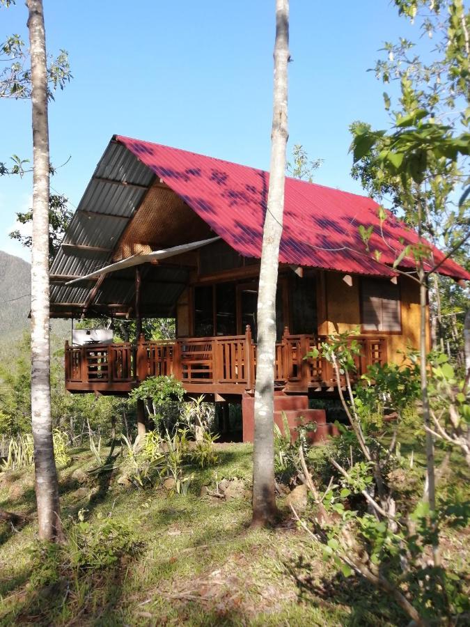 Villa Nagtabon Puerto Princesa Buitenkant foto