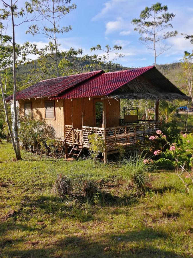Villa Nagtabon Puerto Princesa Buitenkant foto